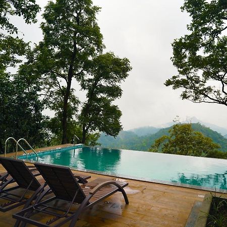 Elephant Passage Munnar Exterior photo The swimming pool at the hotel